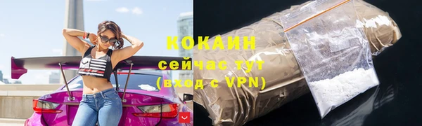гидра Абаза
