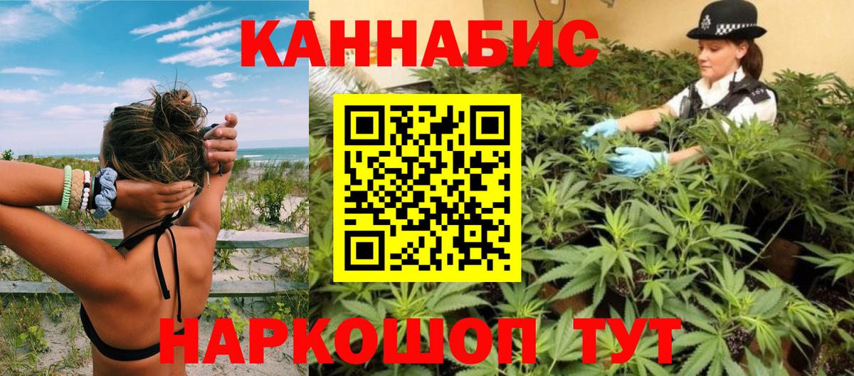 Канабис конопля  МАРИХУАНА планчик  Вход с VPN  Шишки марихуана Amnesia  Кизляр 