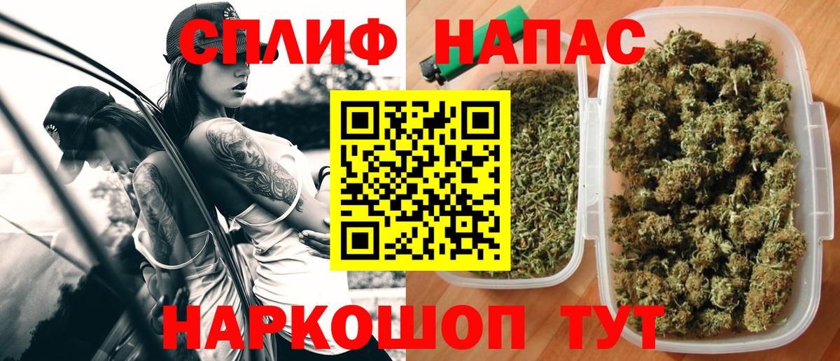 Канабис White Widow Кизляр